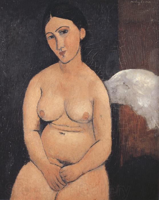 Amedeo Modigliani Seated Nude (mk39) Norge oil painting art